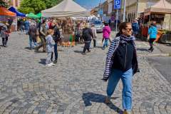 IMG_6915