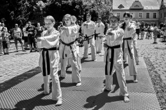 IMG_7928-01