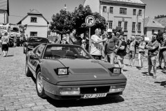 IMG_7972-01