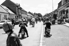 IMG_8630-01