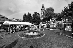 DSCF5873-01