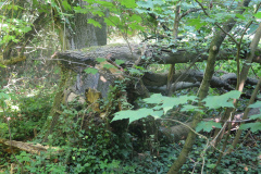 09_IMG_2665