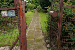 P1000391