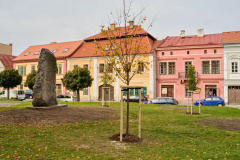 P1000883