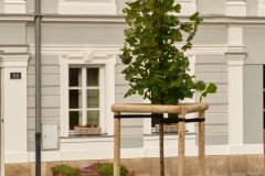 P1000884