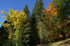 P1000937