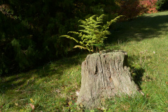 P1000945