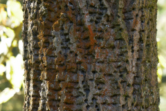 P1000968