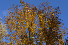 P1000971