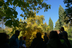 P1000975