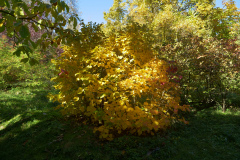 P1000978
