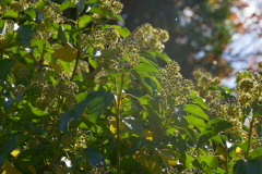 P1000990