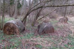 IMG_5676