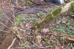 IMG_5652