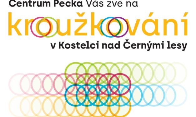 Kroužkování: nabídněte své aktivity pro děti