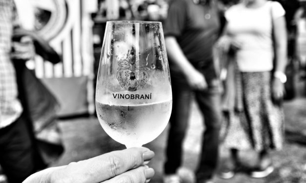 Vinobraní ve fotografiích Vladimíra Škuty