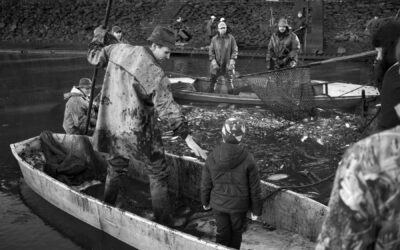 Výlov Vyžlovského rybníka ve fotografiích Vladimíra Škuty